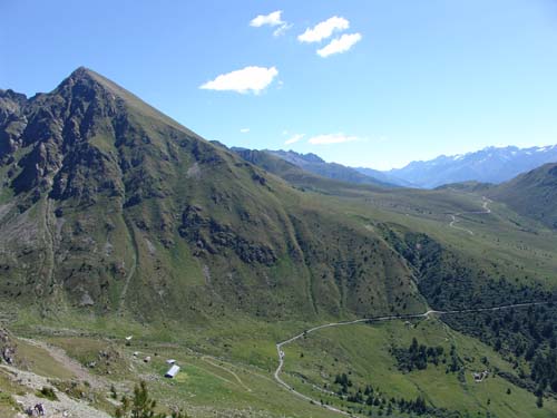 DSC00005