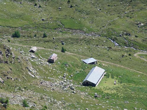 DSC000852