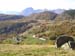 Monno6_localitàMortirolo